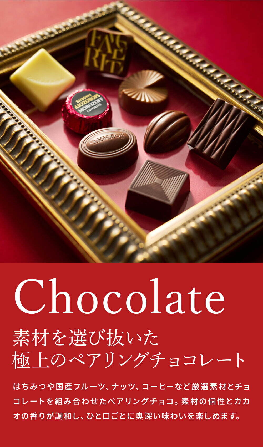 モロゾフ フェイバリット 14個 C-26 BN チョコレート