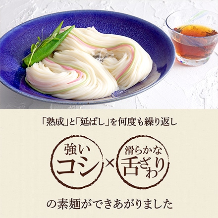 冷麦 揖保乃糸 (9包) H-30N （いぼのいと 素麺） メーカー包装済A4