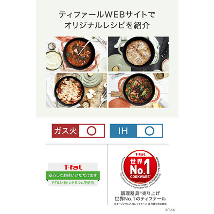 ティファール T-fal キャストライン エアココット IHココット鍋 24cm IH対応 ガス火対応 食洗機対応 E26746 セージグリーン