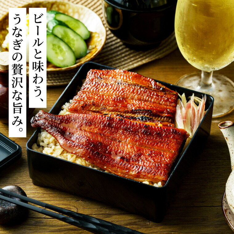 酒類 選べるビールとうなぎ セット ゾウのマイ2本 家飲みセット