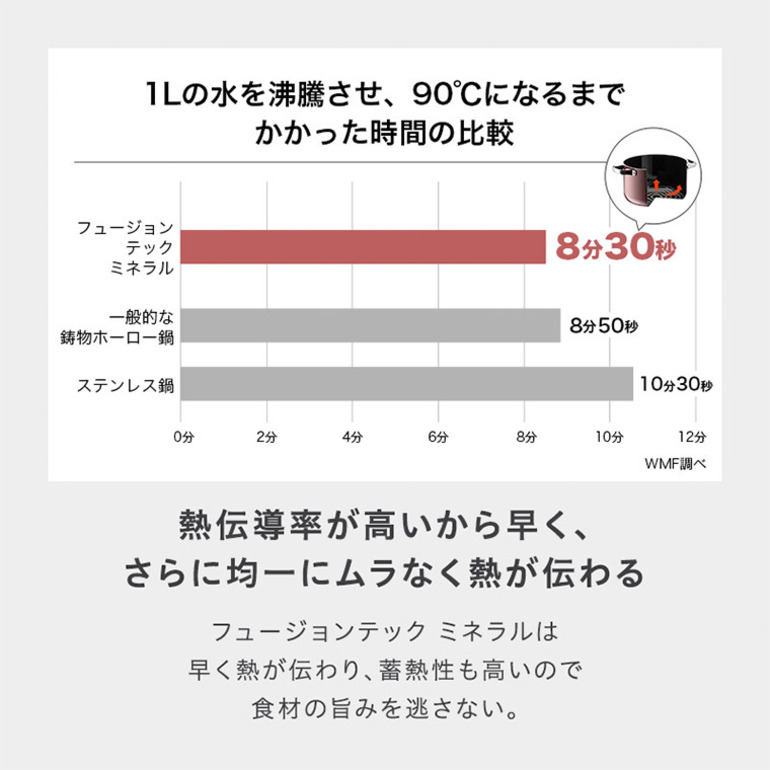 WMF ヴェーエムエフ フュージョンテック ミネラル ライスポット 20cm ガス火対応 IH不可 食洗機対応 W0519385290 グレー