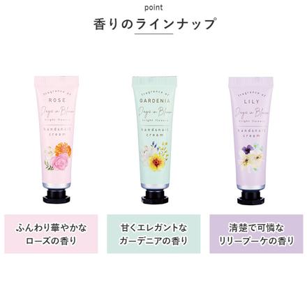 DayS in BLooM ハンド＆ネイルクリームセット ハンドクリーム 3種の香り