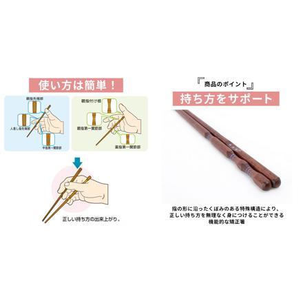 三点支持箸 子供用 大人用 右利き用 23cM