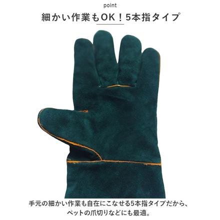 ペットグローブ kgooDS28 ペットグローブ ブラウン