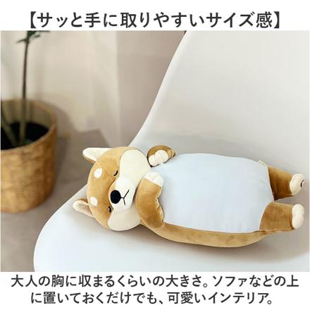 おやすみクールピロウ サメ/くるり