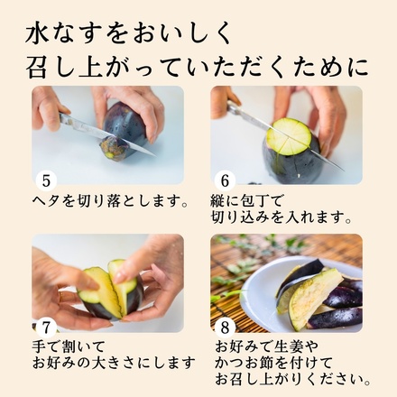彩茄 贈答用 水なす ぬか漬け 水茄子 大阪泉州 丸ごと1本×4袋入 チルド 冷蔵品 メーカー 問屋直送|漬物 浅漬け 水ナス 手作り 職人仕込み おつまみ ごはんのお供 お取り寄せ みずみずしい 岸和田市 高級食材 なす