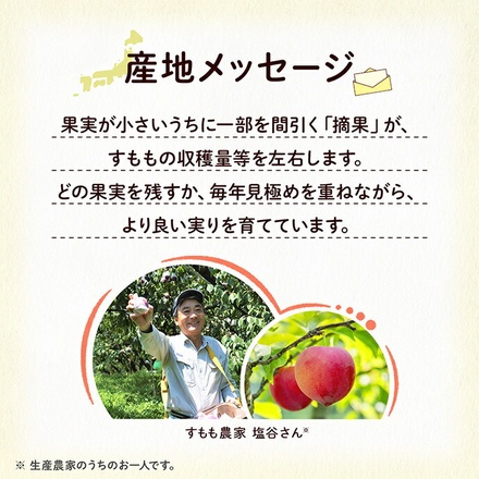 カゴメ 野菜生活100 山梨すももミックス 195ml紙パック×24本入|野菜ミックス ピーチ ミックスジュース