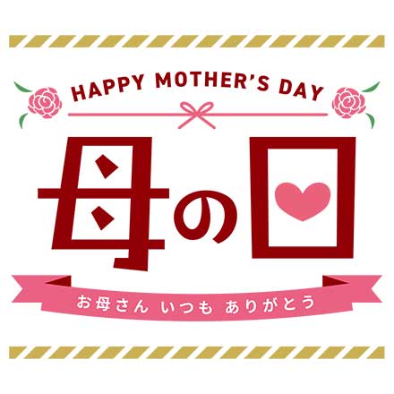 母の日 DADACA こねこのこねこねクッキーアイス 6種セット