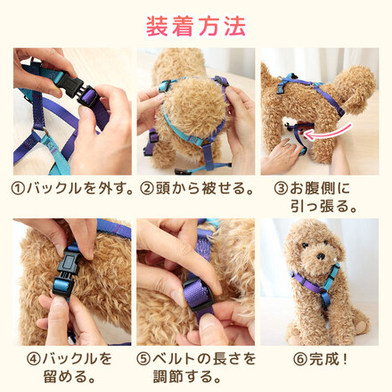 MILASIC 犬用 ハーネス ブルー Sサイズ TN-DGEG-BU-S