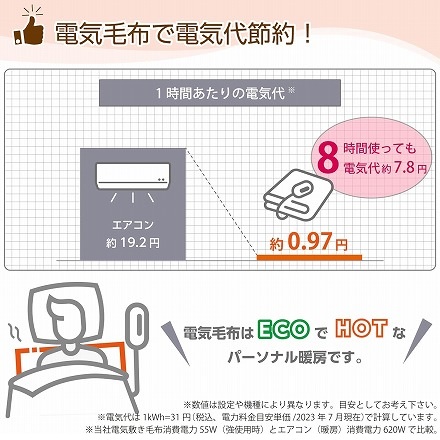 KODEN 広電 電気毛布 敷パッド VWP552H-B シングルサイズ 200×100cm フランネル ブラウン 固定用バンド付 洗える  スライド温度調節 ダニ退治