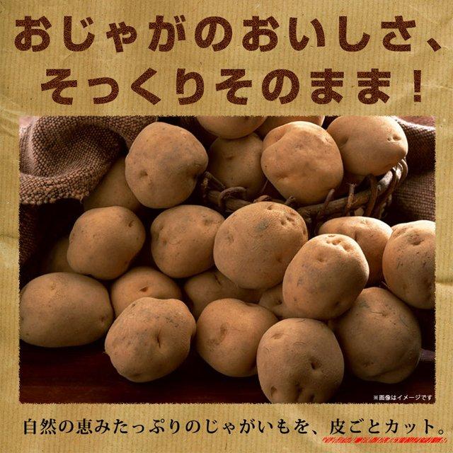 訳あり じゃがスティック 塩わさび 170g