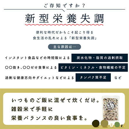 雑穀米本舗 国産 美容重視ビューティーブレンド 27kg(450g×60袋)