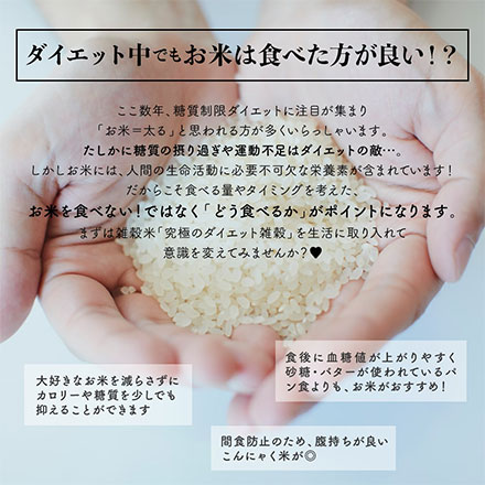 雑穀米本舗 糖質制限 究極のダイエット雑穀 2.7kg(450g×6袋)