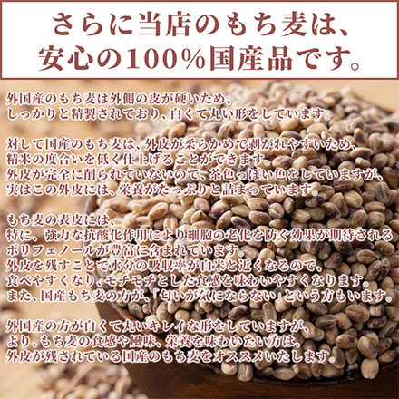 雑穀米本舗 国産 もち麦 2.7kg ( 450g×6袋 )