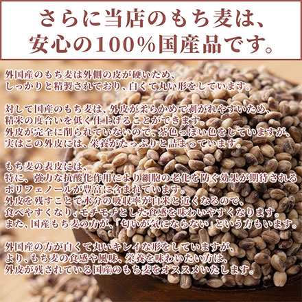 雑穀米本舗 国産 もち麦 4.5kg(450g×10袋)