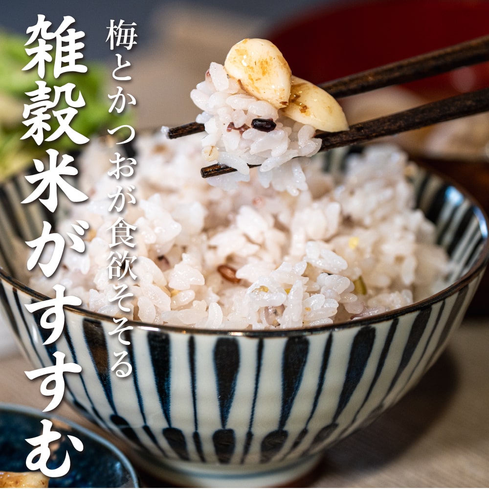 梅にんにく 200g(100g×2袋)