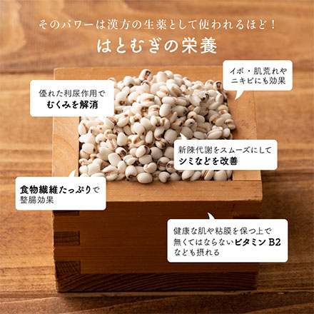 雑穀米本舗 国産 はと麦 (丸粒) 2.7kg(450g×6袋)