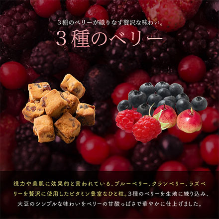ソイキューブ(3種のベリー) 【600g(100g×6袋)】