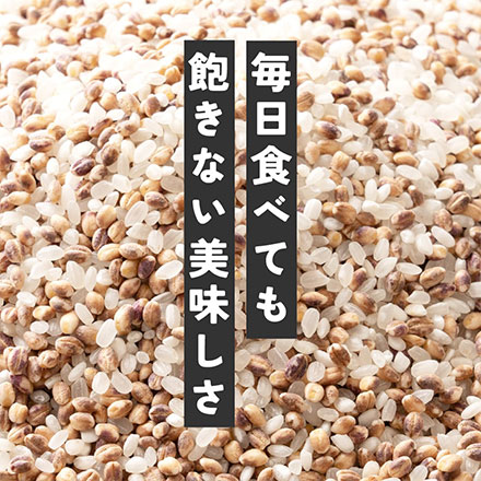 雑穀米本舗 国産 家計お助け米 もち麦ミックス 3kg(1kg×3袋)