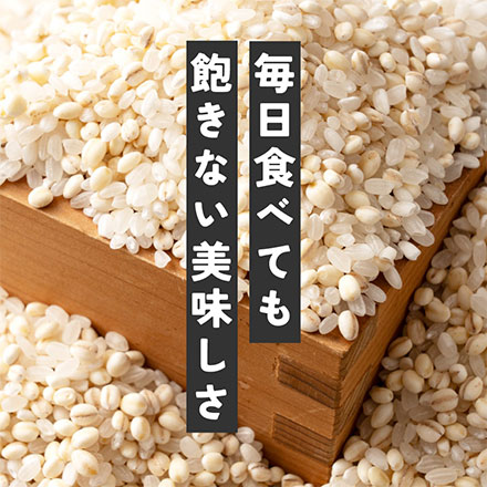 雑穀米本舗 国産 家計お助け米 丸麦ミックス 3kg(1kg×3袋)