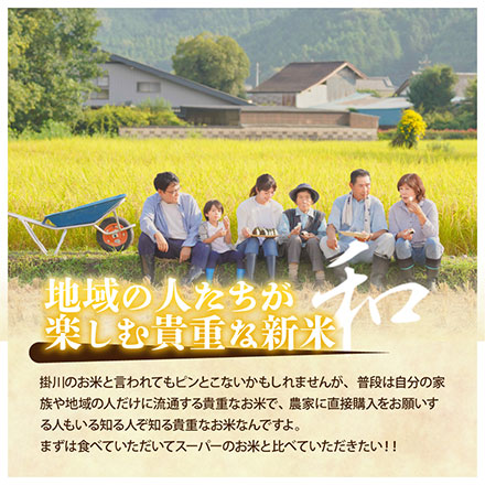 新米 【白米】39穀米ブレンド450gおまけ付き 静岡県掛川市上垂木産 こしひかり 5kg 令和6年産