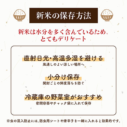 新米 三重県産 コシヒカリ 10kg ( 5kg×2 ) 令和7年産