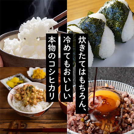 【白米】富山県産 コシヒカリ 20kg(5kg×4袋)