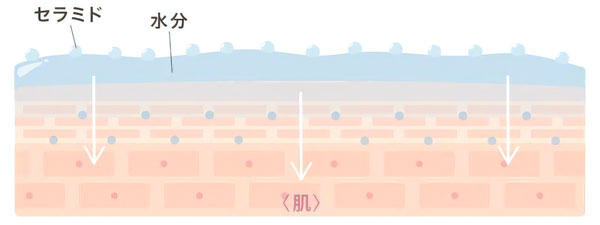 ZERO HOLE 日焼け止めパウダー ゼロホール ラボ タッチアップUVパウダーブラッシュ Lab-002