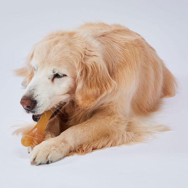 かんでるCORN コーン チキン風味 L 大型犬用