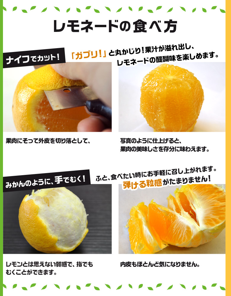 【2/23から出荷開始】 静岡県産柑橘 「レモネード」 2S-Lサイズ 約2.5kg 簡易箱 ※常温