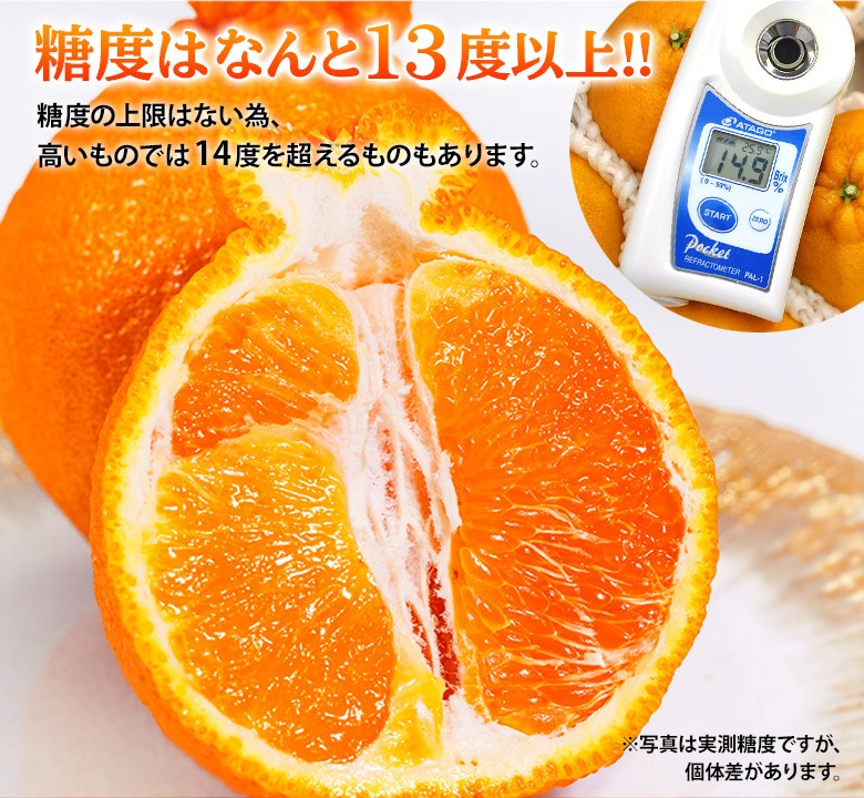 ご自宅用 デコポン 熊本県産 無印 約5kg（18-24玉） 産地箱 ※常温