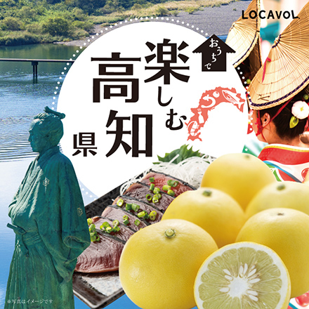 カップアイス大集合セット 高知県 四国地方 美食うまいもん市場