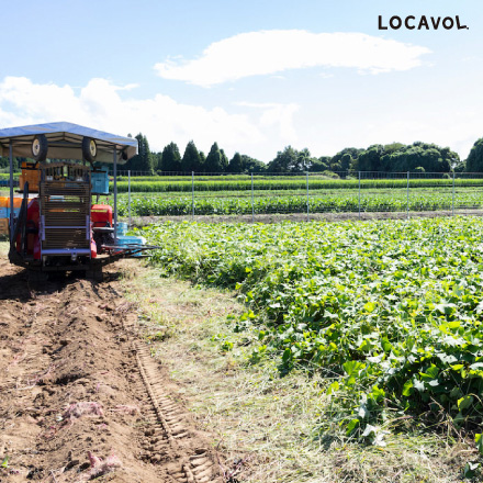 冷凍焼き芋甘太くん 5袋セット 大分県 九州地方 美食うまいもん市場