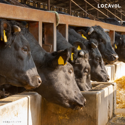 おかやま和牛肉ステーキ&しゃぶしゃぶ1.6kg（しゃぶしゃぶ用 くめなん柚子 の塩ぽん酢付き） 岡山県 中国地方 美食うまいもん市場