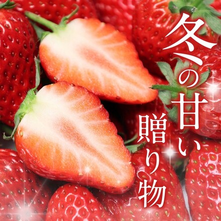 特選季節のフルーツ│とちあいか2パック300g