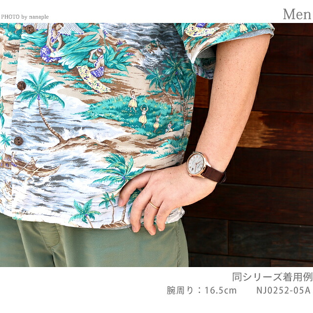 シチズン コレクション メカニカル 機械式時計 腕時計 ブランド メンズ CITIZEN COLLECTION NJ0252-05A アナログ シルバー ブラック 黒 日本製 おしゃれ 防水 プレゼント 男性 実用的