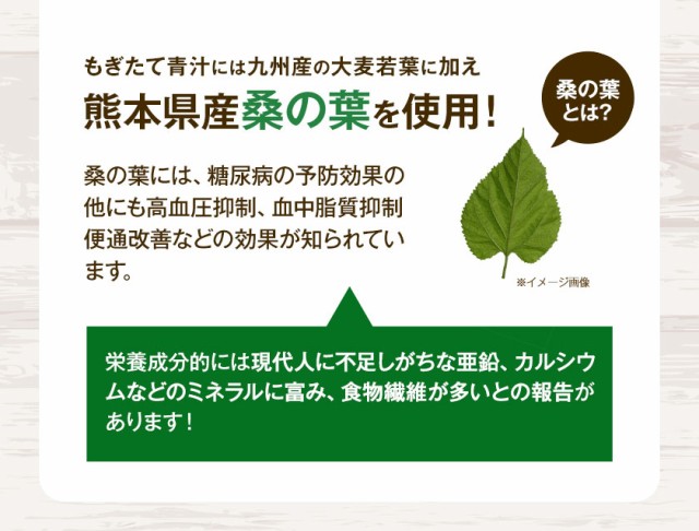 国産 青汁 30包 90g もぎたて青汁 飲みやすい 大麦若葉 安心 安全 九州 生まれ 《3-7営業日以内に出荷予定（土日祝除く）》