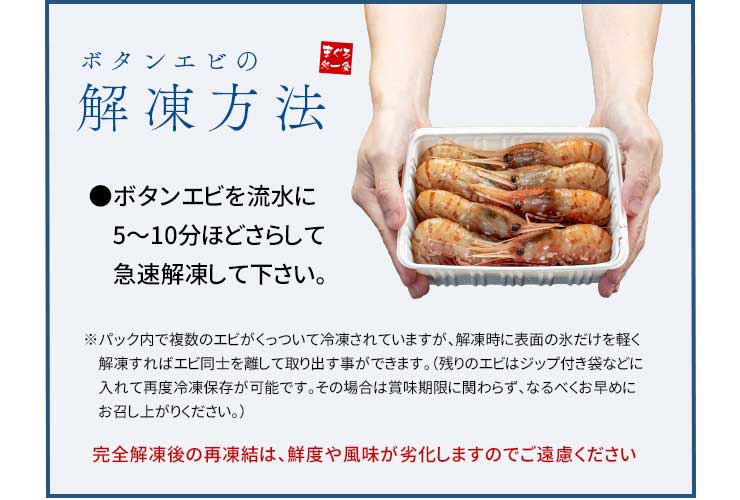 お刺身用 ボタンエビ 500g（10～16尾） [ぼたんエビ500g]