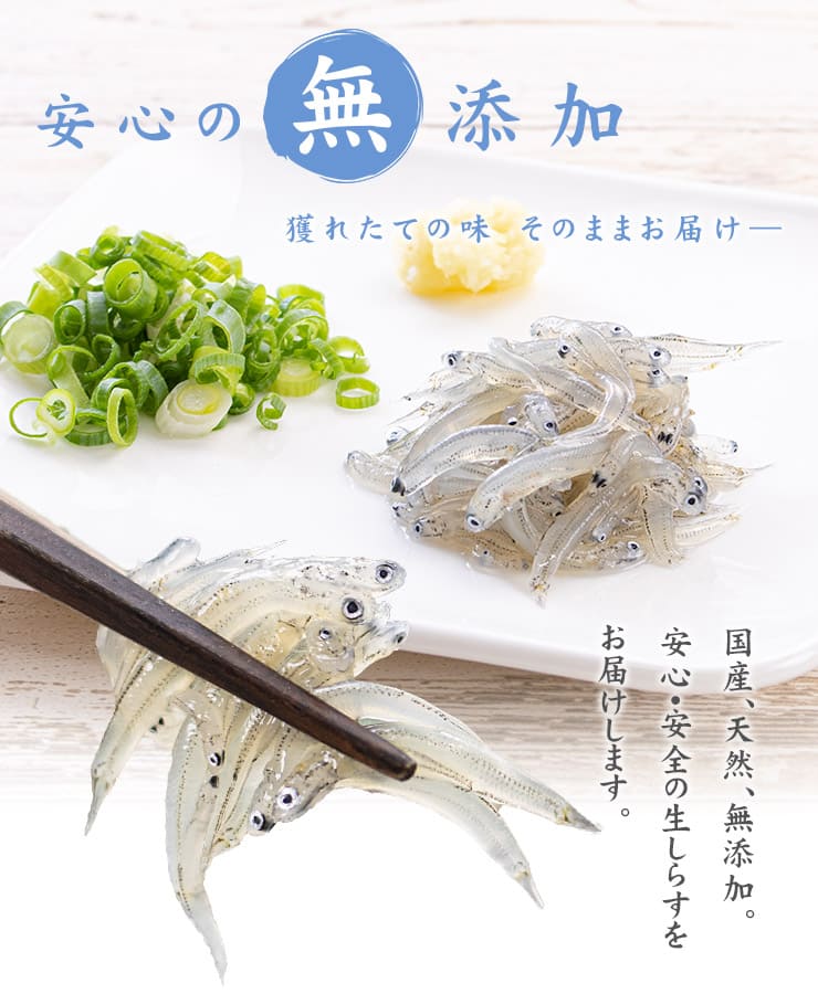 瀬戸内海産 生しらす 200g（お刺身用） [生シラス200g]