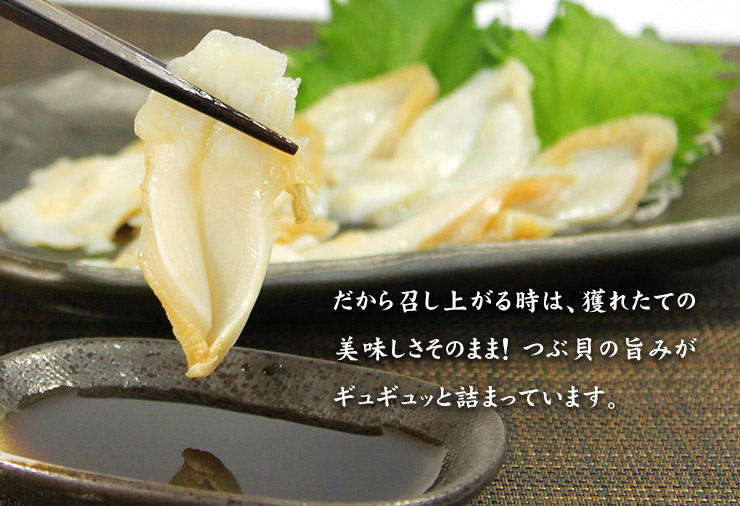 つぶ貝 スライス お刺身用 60g（10切入） [つぶ貝スライス]