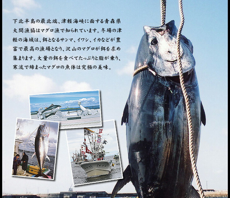 大間のマグロ 中トロ 赤身セット 300g（中トロ150g 赤身150g） [大間産本鮪_中トロ赤身セット]