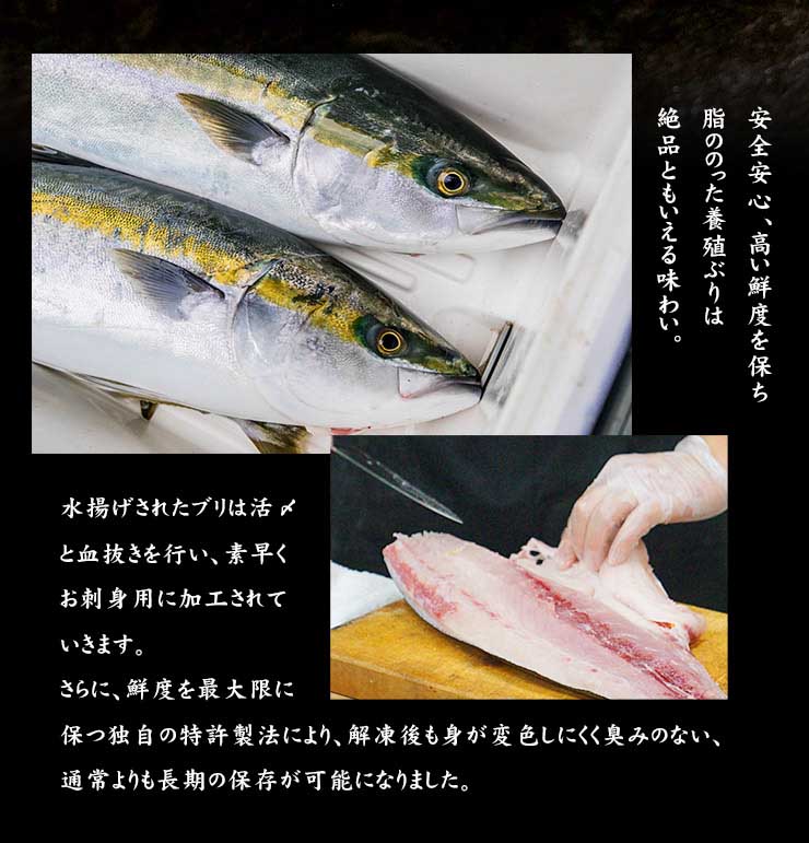 訳あり お刺身用 国産ぶり ブツ切り 200g 養殖ぶり 不揃い 筋のある訳あり品 [ぶりブツ切り200g]超速（ちょうそく）発送 1-3営業日以内に発送予定 土日祝除く