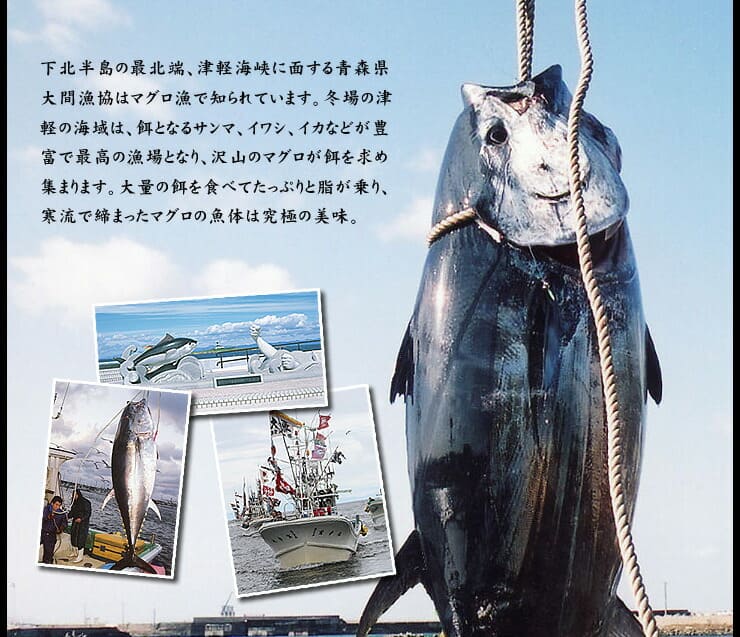 大間のマグロ 大トロ 中トロ セット 300g お刺身カット済み [大間産本鮪_大トロ中トロセット]