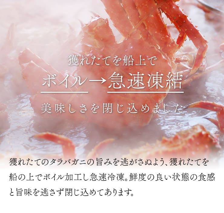 超特大 ボイルたらば蟹 1肩 2.0kg（NET1.5～1.6kg） [ボイルタラバ蟹2.0kg]