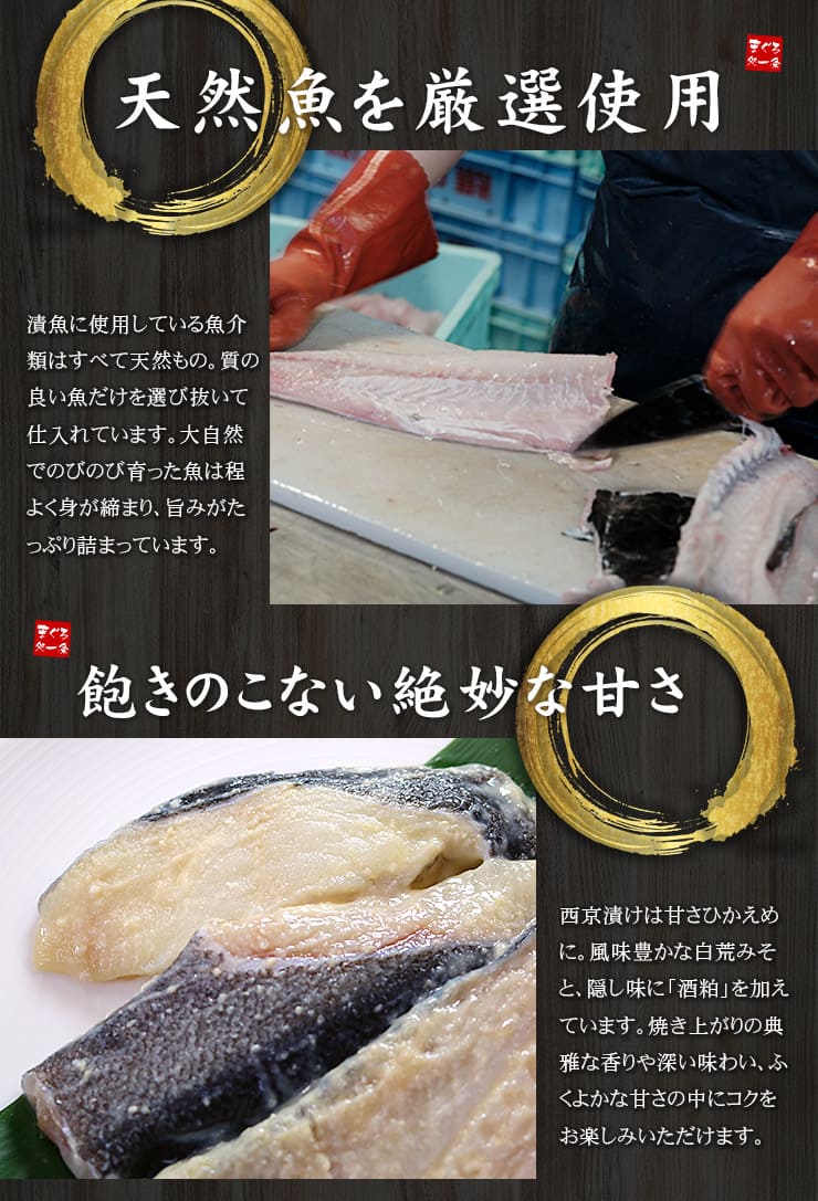 訳あり さわら 西京漬け 1kg (500g×2パック) [訳ありサワラ西京漬500g-2p]超速（ちょうそく）発送 1-3営業日以内に発送予定 土日祝除く