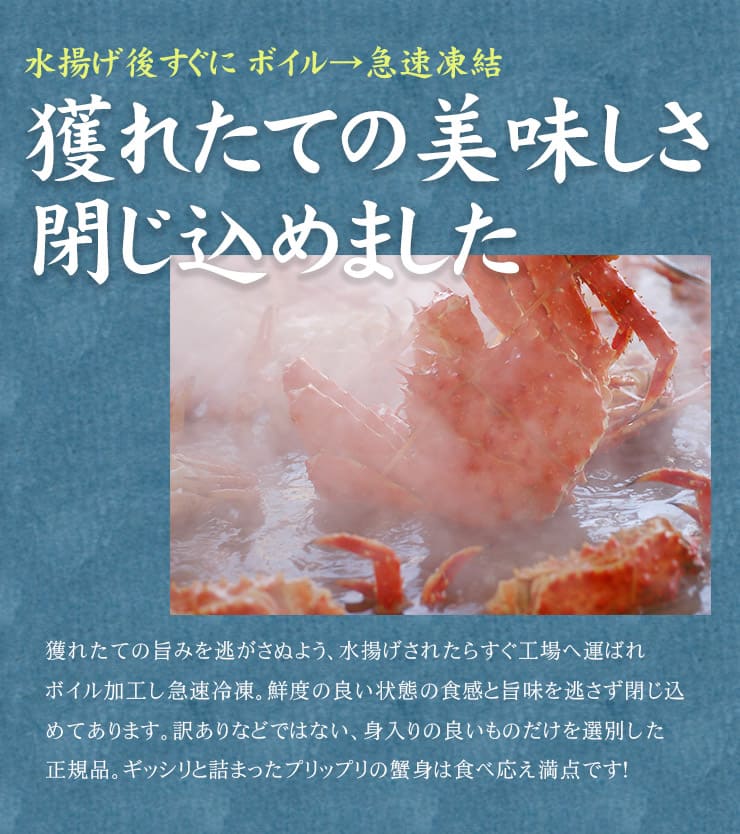 ゴールデンキングクラブ 800g ボイル済み 1肩 [ゴールデンキングクラブ800g]超速（ちょうそく）発送 1-3営業日以内に発送予定 土日祝除く