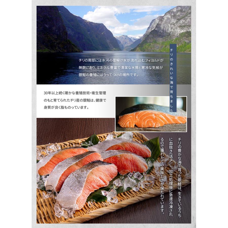 訳あり 銀鮭切り身 1.2kg 無塩 加熱用 チリ産 チャック袋入り 送料無料 [[無塩_B級銀鮭切り身1.2kg]超速（ちょうそく）発送 1-3営業日以内に発送予定 土日祝除く