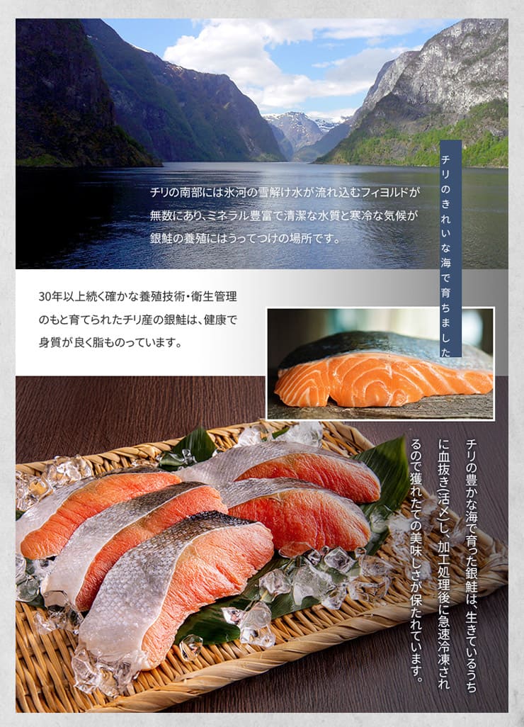 訳あり 銀鮭切り身 1.2kg (有塩･甘口) 20切前後 加熱用 チリ産 チャック袋入り シミ・身割れの切り身 [有塩_B級銀鮭切り身1.2kg]