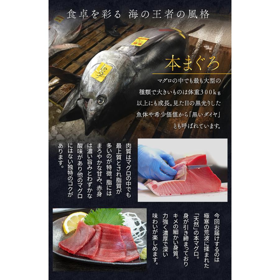 天然本マグロ＆南マグロ入り！海鮮セット「赤」海鮮5種 詰め合わせ 赤エビ 生小柱 ネギトロ 送料無料 (食べ物 父の日 敬老の日 お中元 ギフト プレゼント 刺身 セット 海鮮丼 oss)[[海鮮セット赤]超速（ちょうそく）発送 1-3営業日以内に発送予定 土日祝除く