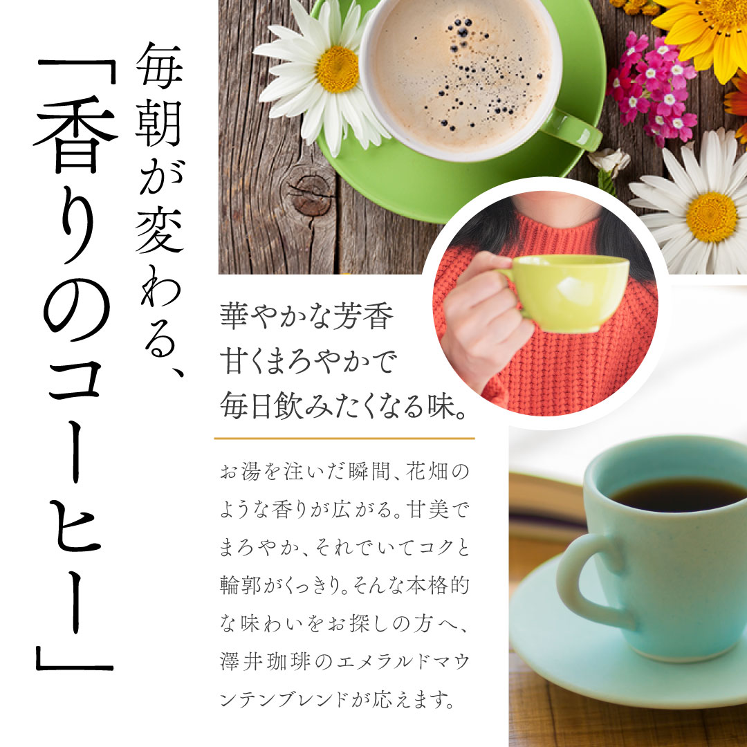 澤井珈琲 宝石の輝きのような、上品で深い味わいドリップパック ドリップコーヒー エメラルドマウンテンブレンド 50袋